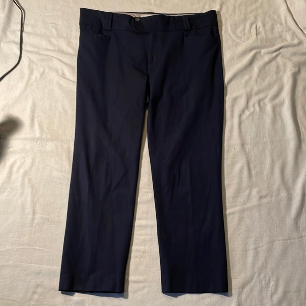 Banana Republic Navy Blue Pants. Sloan Fit Size 14. 2 Front Button Zip up